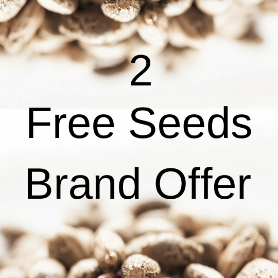 Free Seed Brand Offer