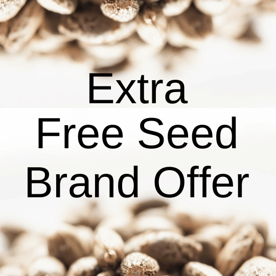 Extra Free Seed