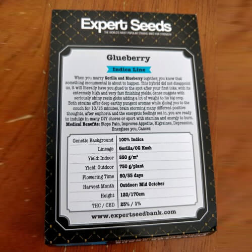 Blueberry Glue Seeds - Image 3
