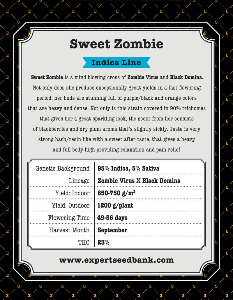 Sweet Zombie Seeds - Image 4