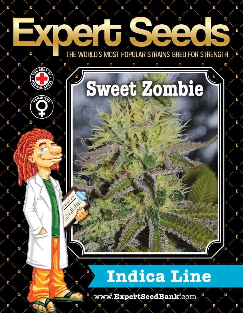 Sweet Zombie Seeds - Image 3