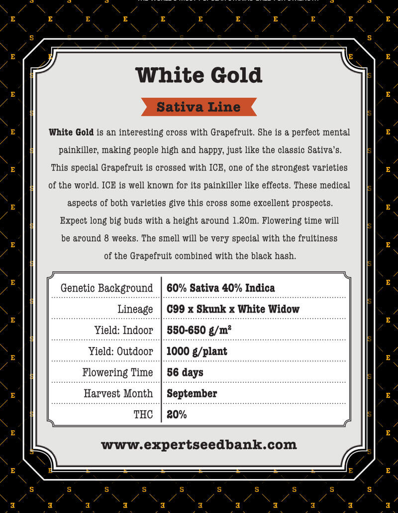 White Gold Seeds - Image 2