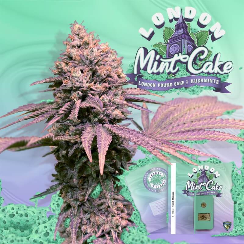 London Mint Cake