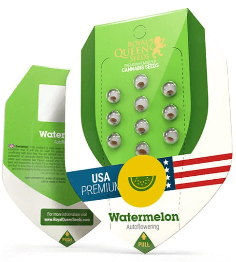 Watermelon Automatic Seeds - Image 2