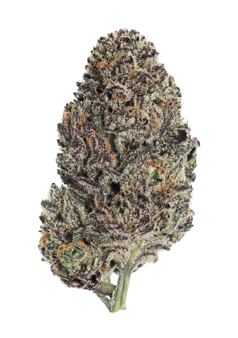 Lemon Cherry Runtz?