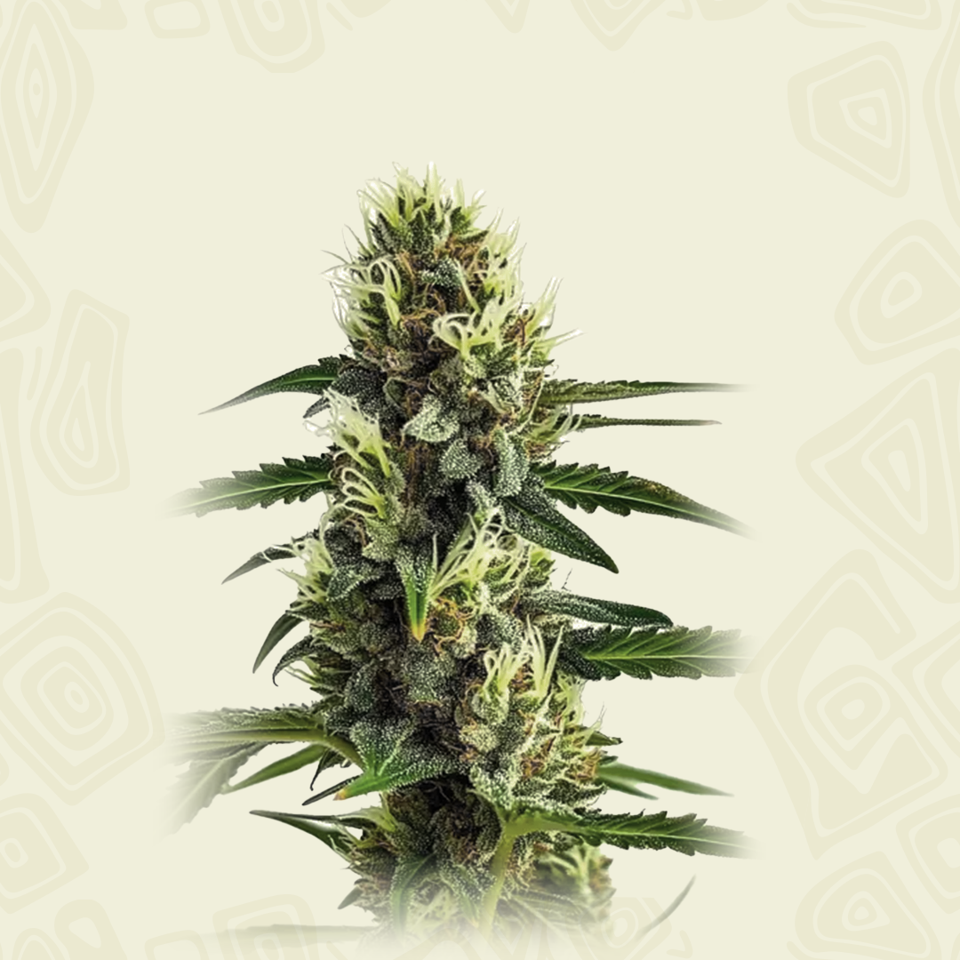 Auto Strawberry