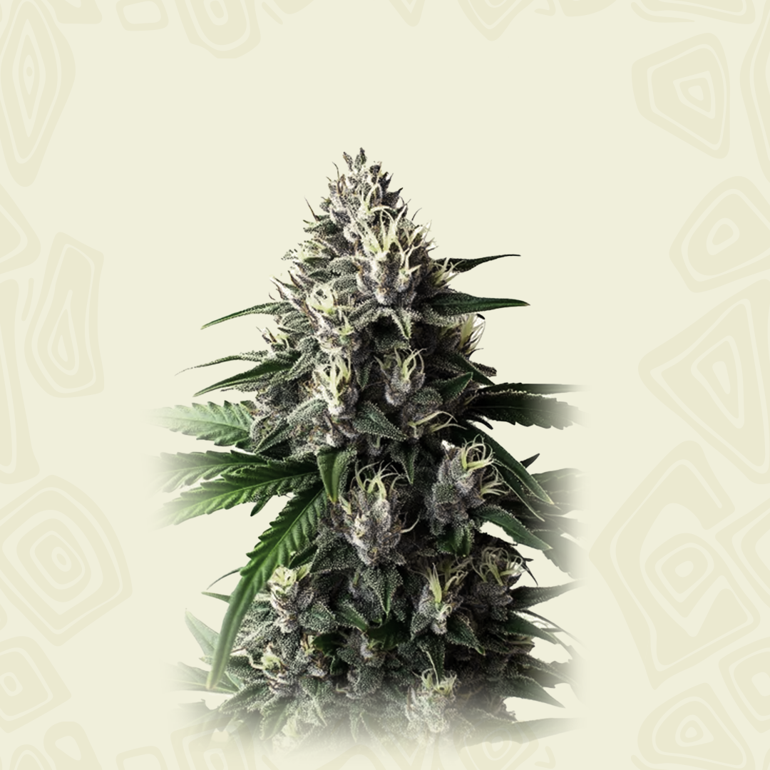 Auto Wedding Cake