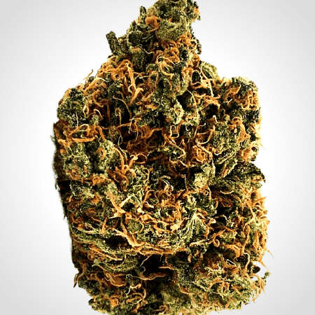 Bruce Banner 2.0 Seeds
