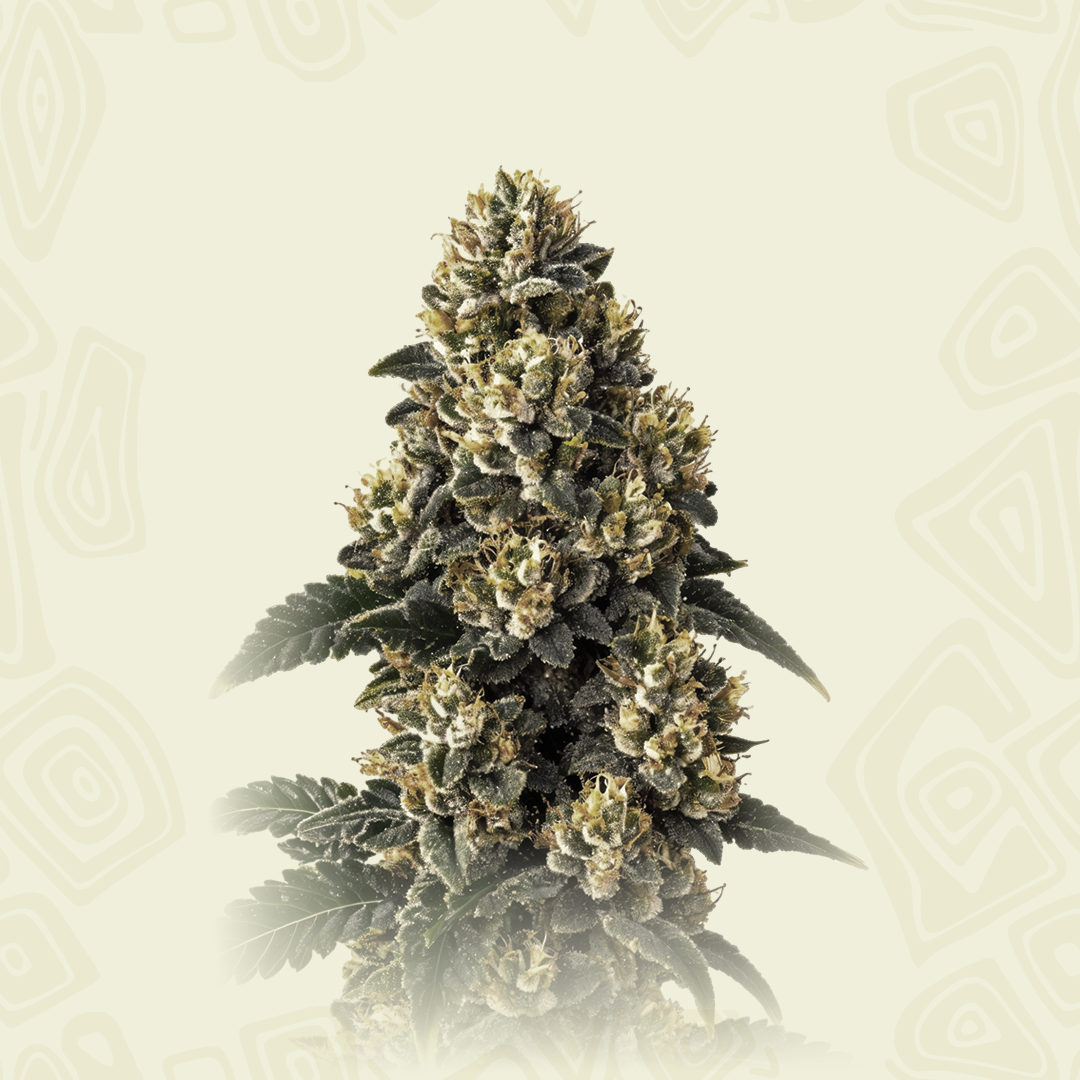 Bubba Kush