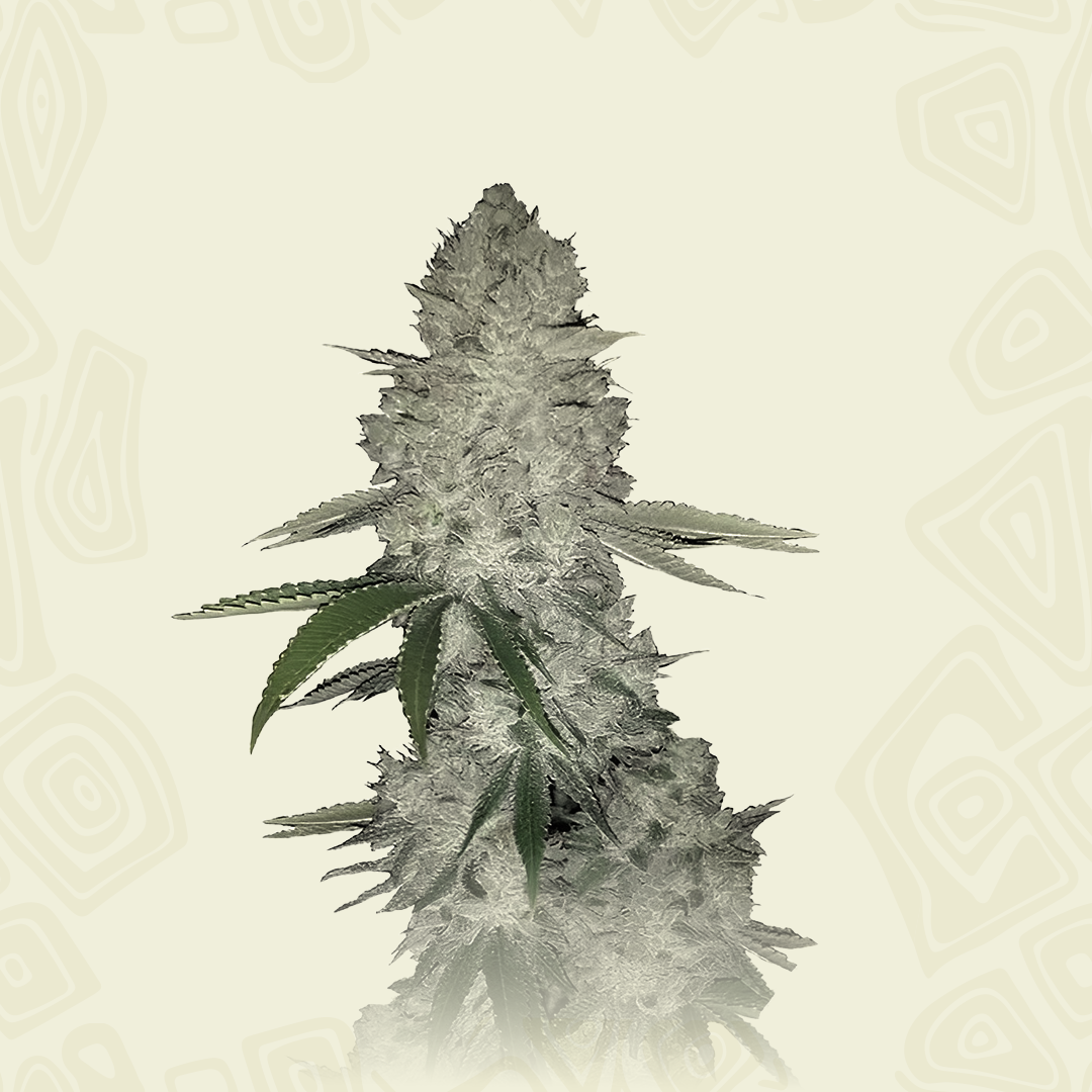 Gorilla Banana Auto
