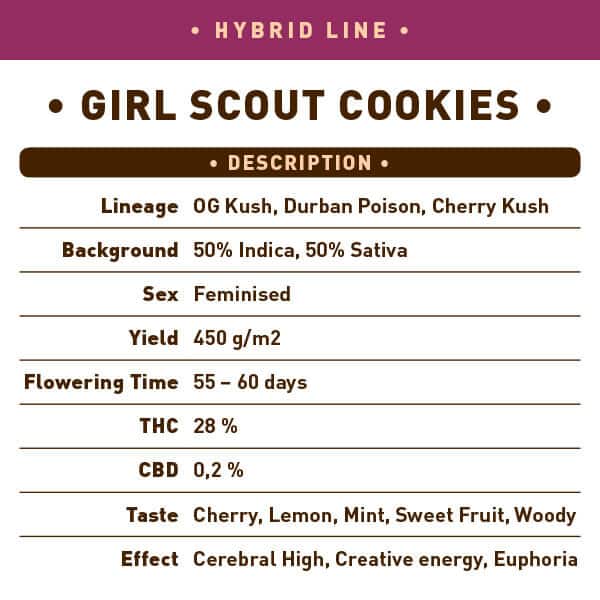 Girl Scout Cookies Seeds - Image 2