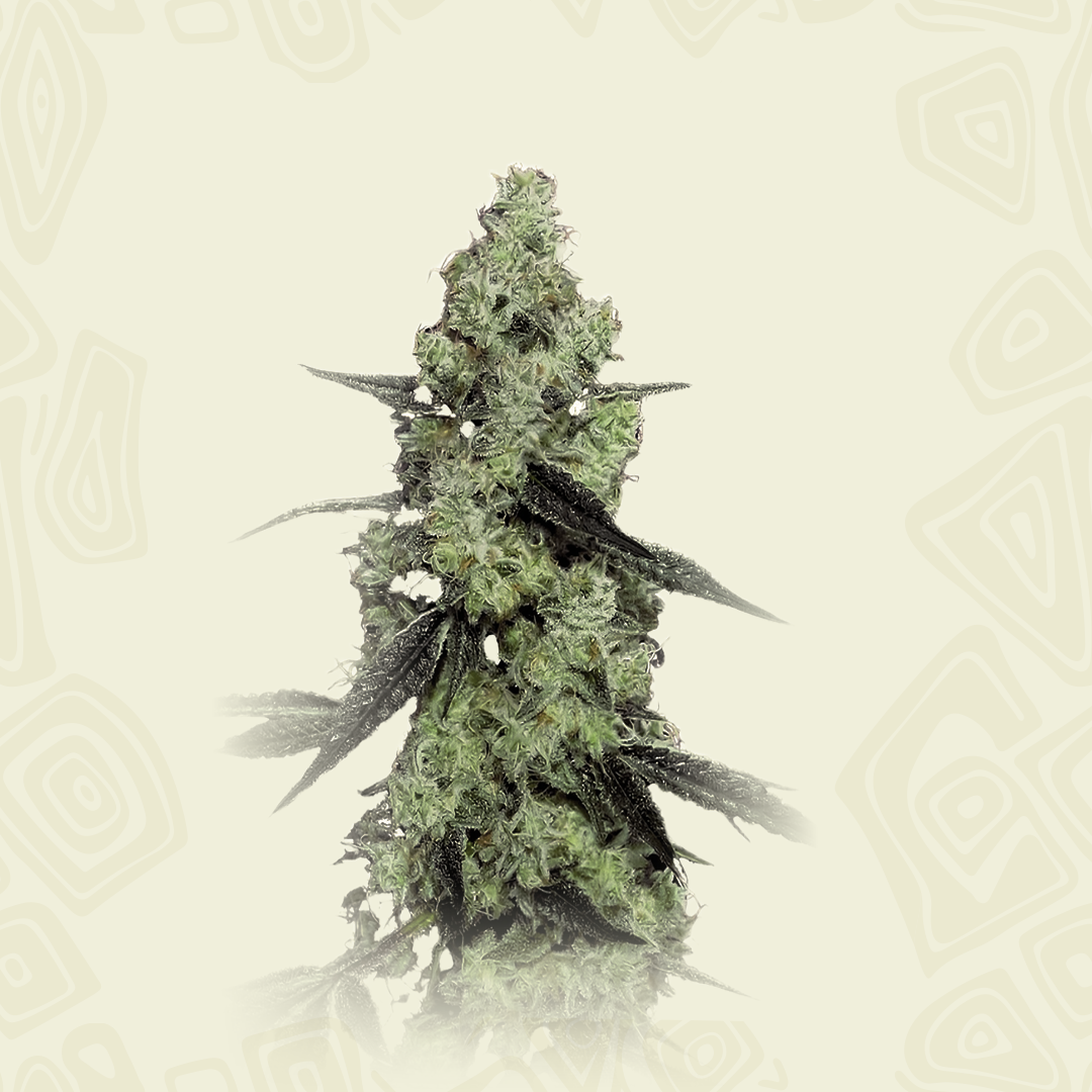 Lemon Thai