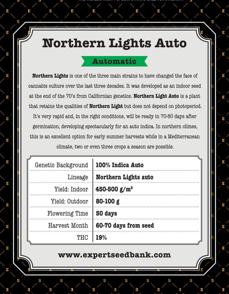 Northern Lights Auto Seeds - Image 3