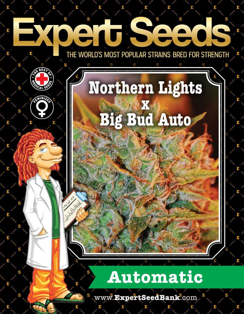 Northern Lights x Big Bud Auto Seeds - Image 2