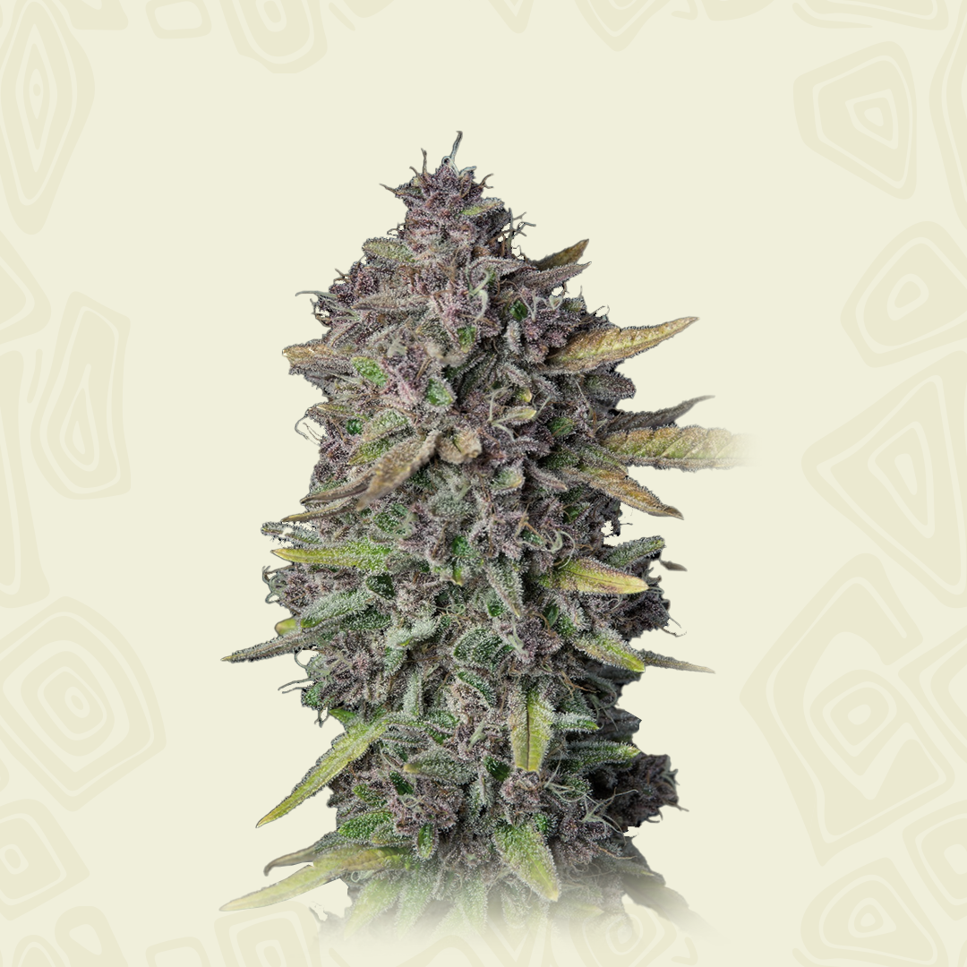 Purple Punch