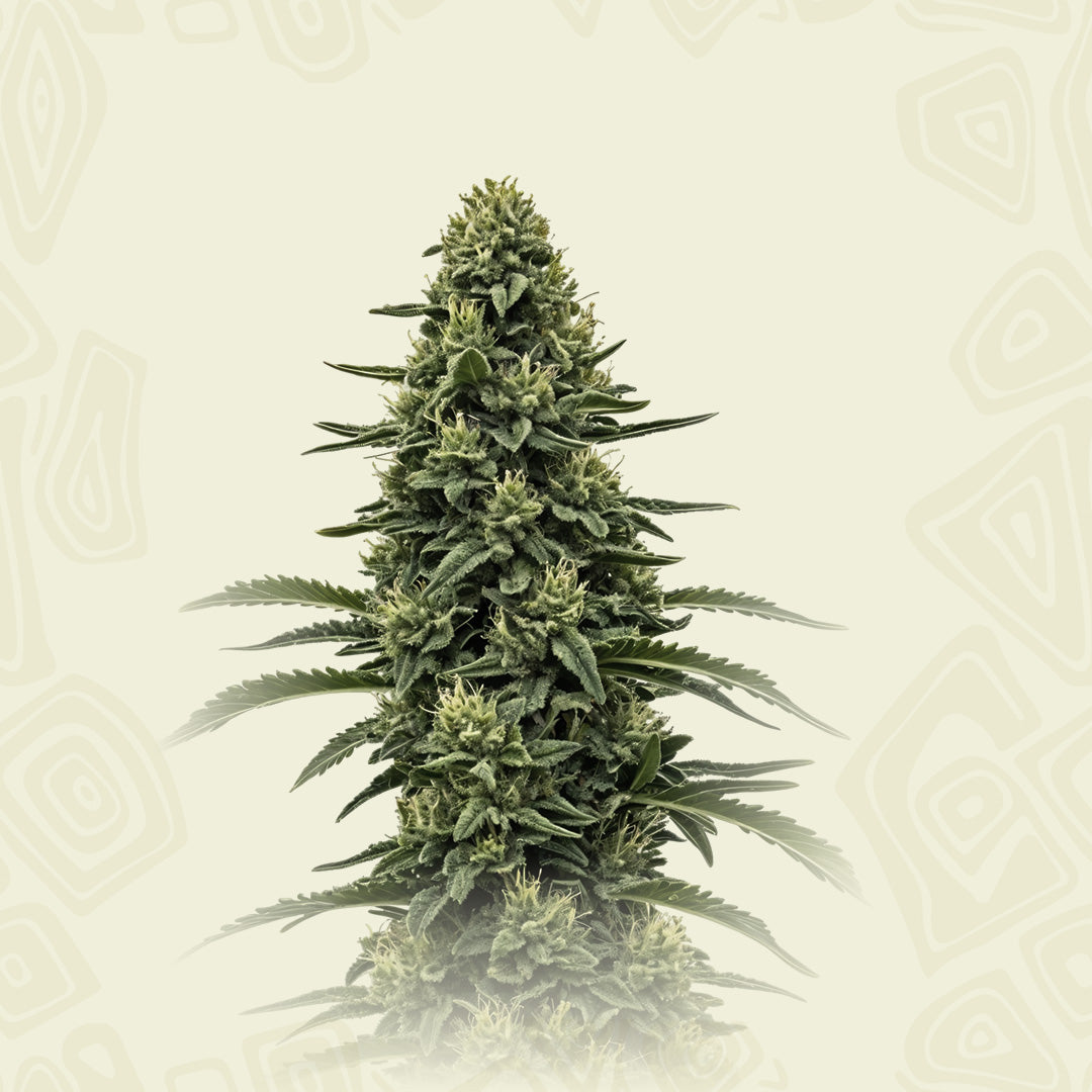 Skywalker
