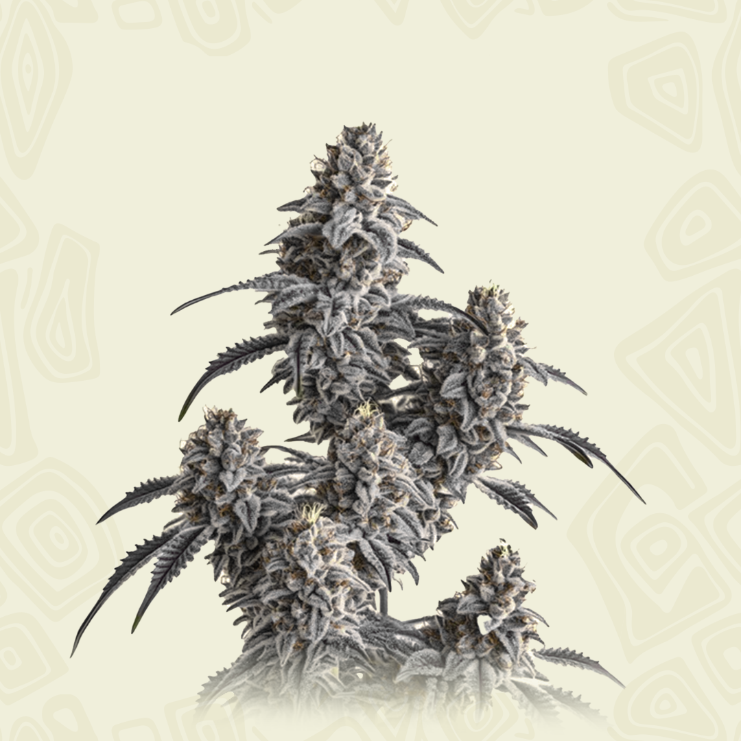 Slurricane