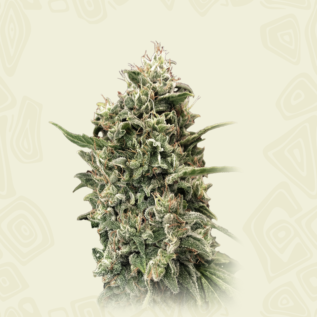 Strawberry Banana