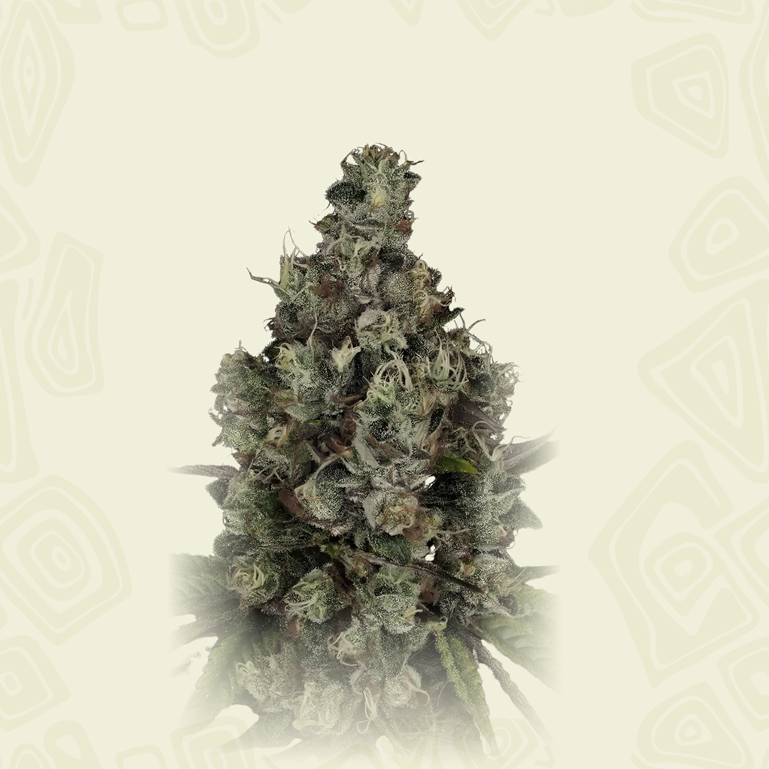 Triangle Platinum