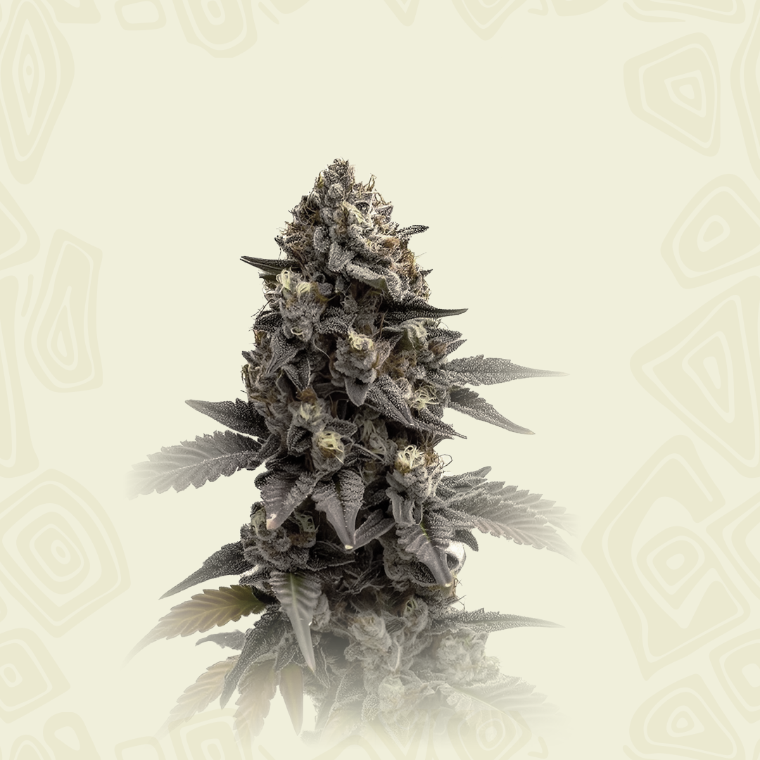 Zkittlez Cbd
